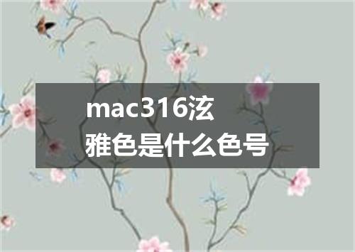 mac316泫雅色是什么色号