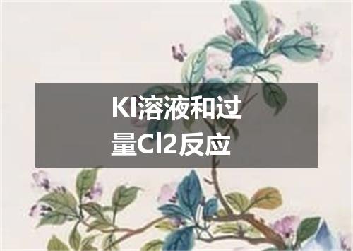 KI溶液和过量Cl2反应