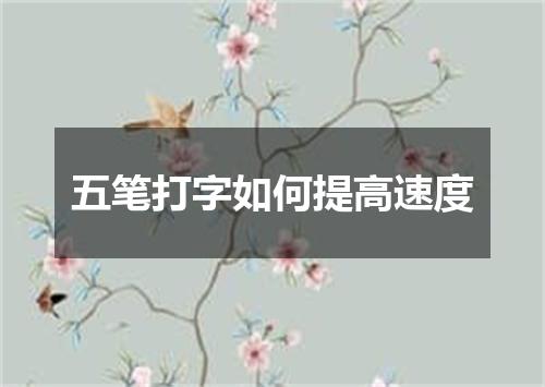 五笔打字如何提高速度