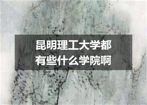 昆明理工大学都有些什么学院啊