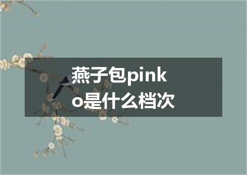 燕子包pinko是什么档次