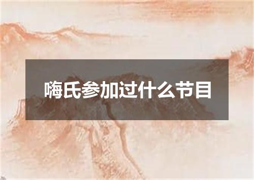 嗨氏参加过什么节目