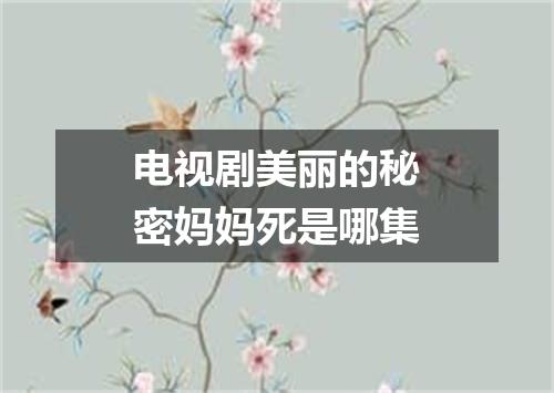 电视剧美丽的秘密妈妈死是哪集