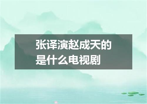 张译演赵成天的是什么电视剧