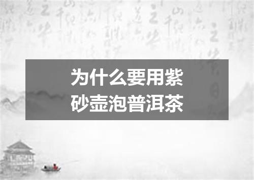 为什么要用紫砂壶泡普洱茶