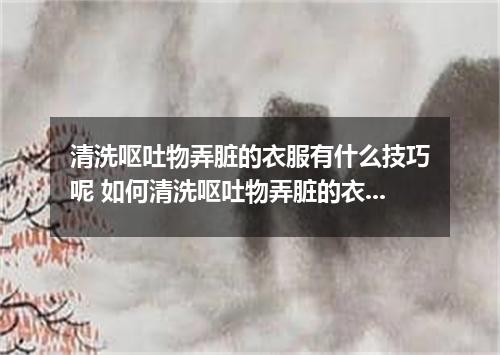 清洗呕吐物弄脏的衣服有什么技巧呢 如何清洗呕吐物弄脏的衣服