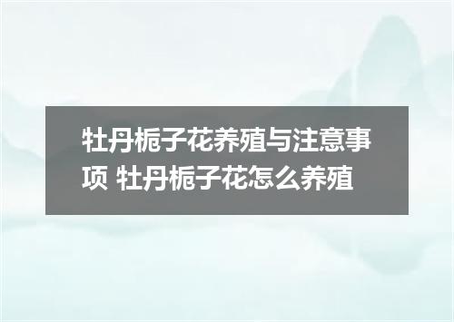 牡丹栀子花养殖与注意事项 牡丹栀子花怎么养殖