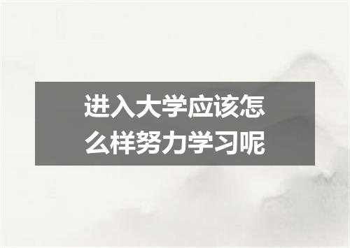 进入大学应该怎么样努力学习呢