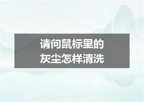 请问鼠标里的灰尘怎样清洗