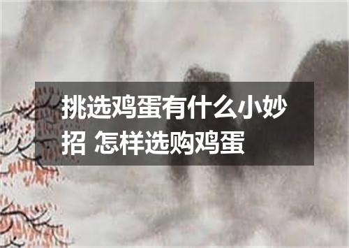 挑选鸡蛋有什么小妙招 怎样选购鸡蛋