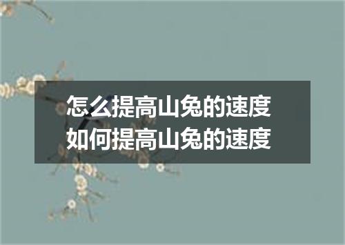 怎么提高山兔的速度 如何提高山兔的速度