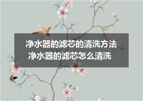 净水器的滤芯的清洗方法 净水器的滤芯怎么清洗
