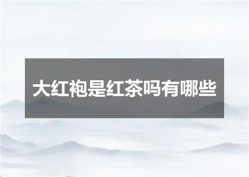 大红袍是红茶吗有哪些