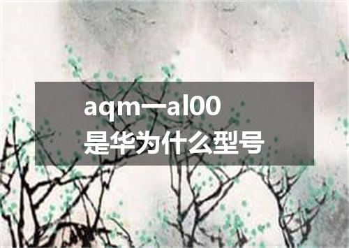 aqm一al00是华为什么型号