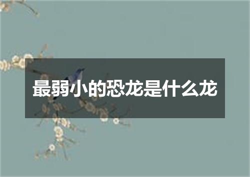 最弱小的恐龙是什么龙