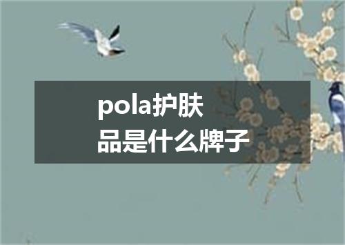 pola护肤品是什么牌子