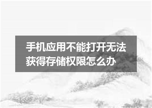 手机应用不能打开无法获得存储权限怎么办
