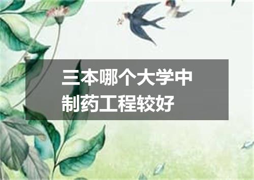 三本哪个大学中制药工程较好