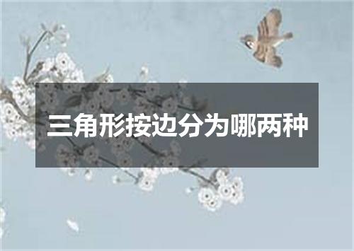 三角形按边分为哪两种