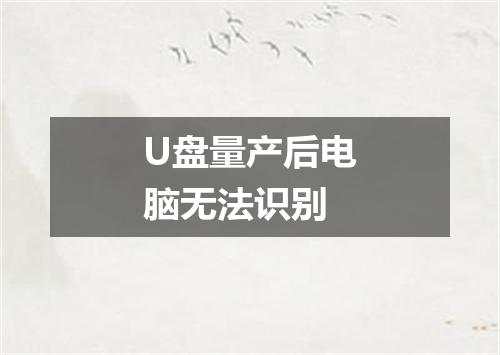 U盘量产后电脑无法识别