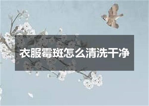 衣服霉斑怎么清洗干净