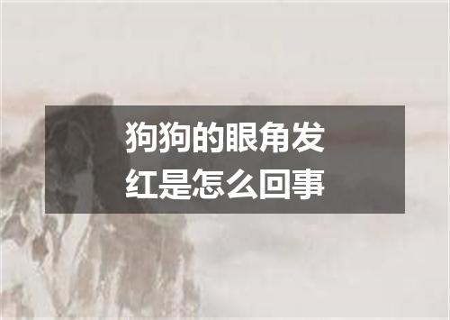 狗狗的眼角发红是怎么回事