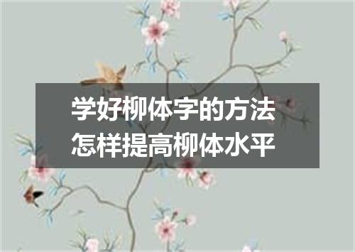 学好柳体字的方法 怎样提高柳体水平
