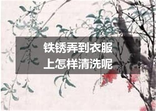 铁锈弄到衣服上怎样清洗呢