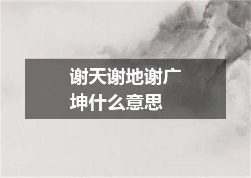 谢天谢地谢广坤什么意思