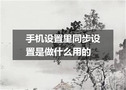 手机设置里同步设置是做什么用的