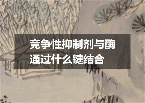 竞争性抑制剂与酶通过什么键结合