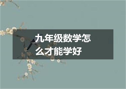 九年级数学怎么才能学好