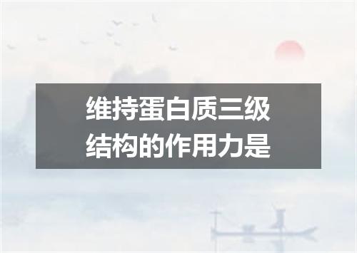 维持蛋白质三级结构的作用力是