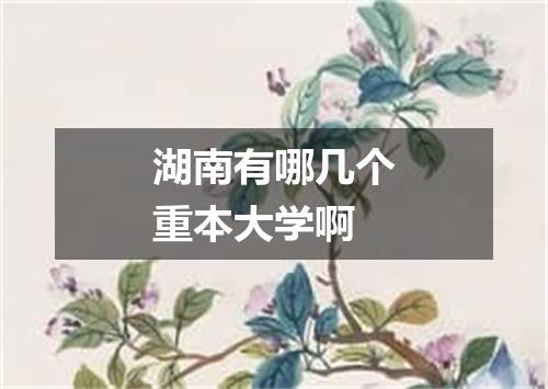 湖南有哪几个重本大学啊