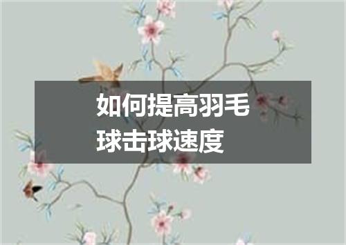 如何提高羽毛球击球速度