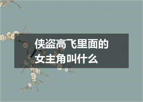 侠盗高飞里面的女主角叫什么