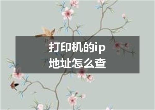 打印机的ip地址怎么查