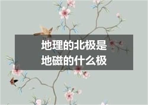 地理的北极是地磁的什么极