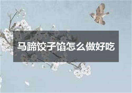 马蹄饺子馅怎么做好吃