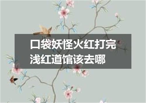 口袋妖怪火红打完浅红道馆该去哪