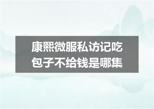 康熙微服私访记吃包子不给钱是哪集