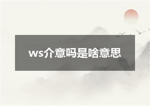 ws介意吗是啥意思