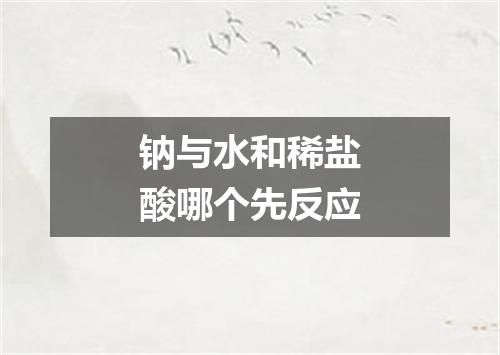 钠与水和稀盐酸哪个先反应