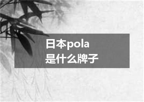 日本pola是什么牌子