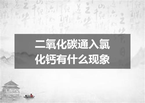 二氧化碳通入氯化钙有什么现象
