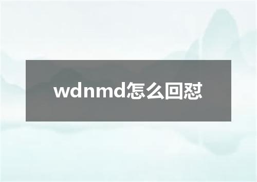 wdnmd怎么回怼