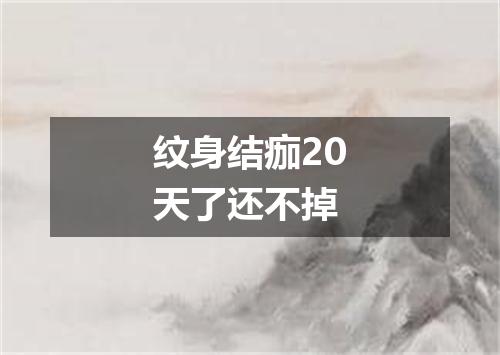 纹身结痂20天了还不掉