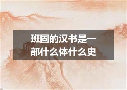 班固的汉书是一部什么体什么史