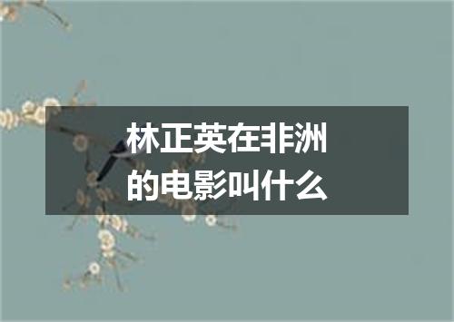 林正英在非洲的电影叫什么