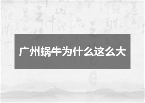 广州蜗牛为什么这么大